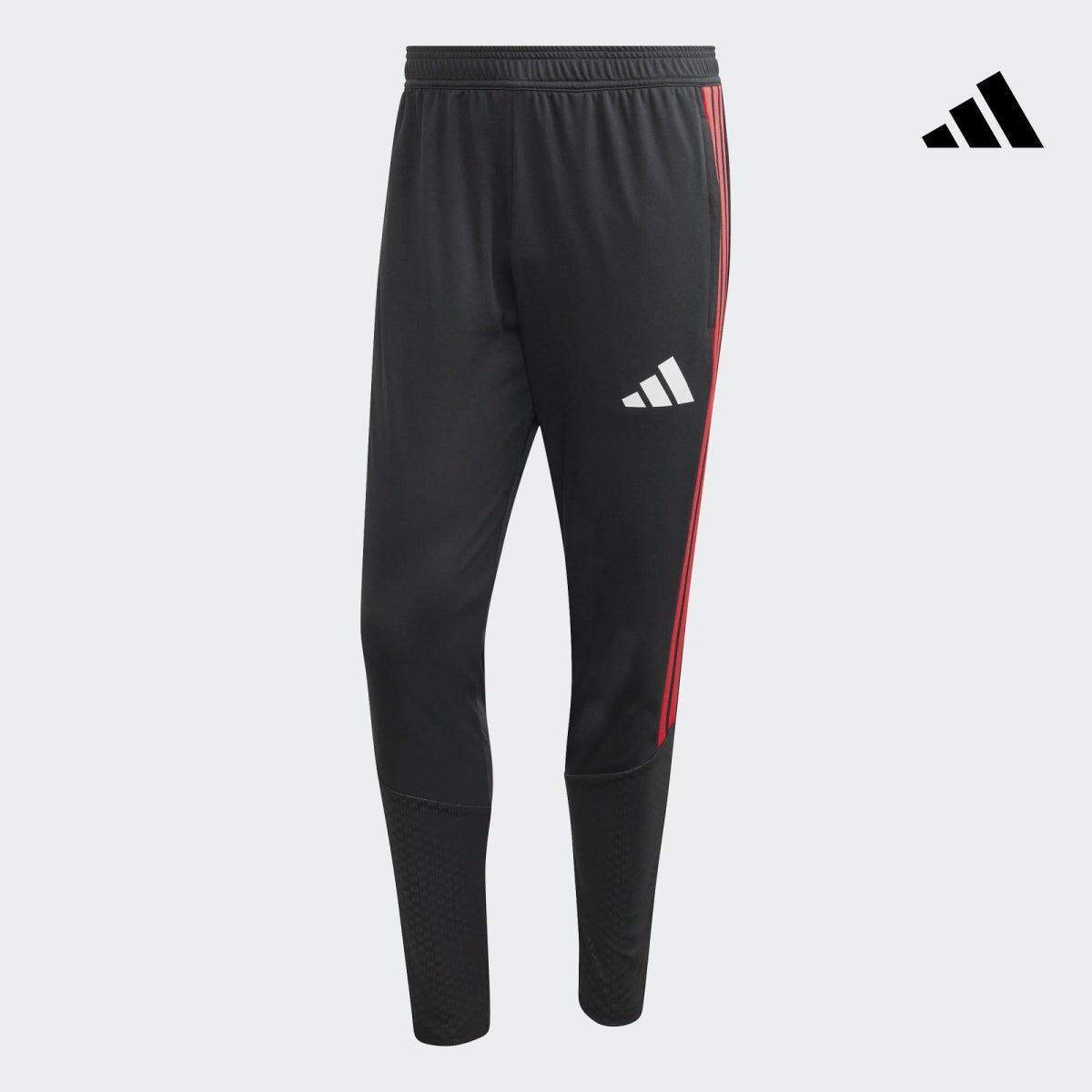 Sporgym