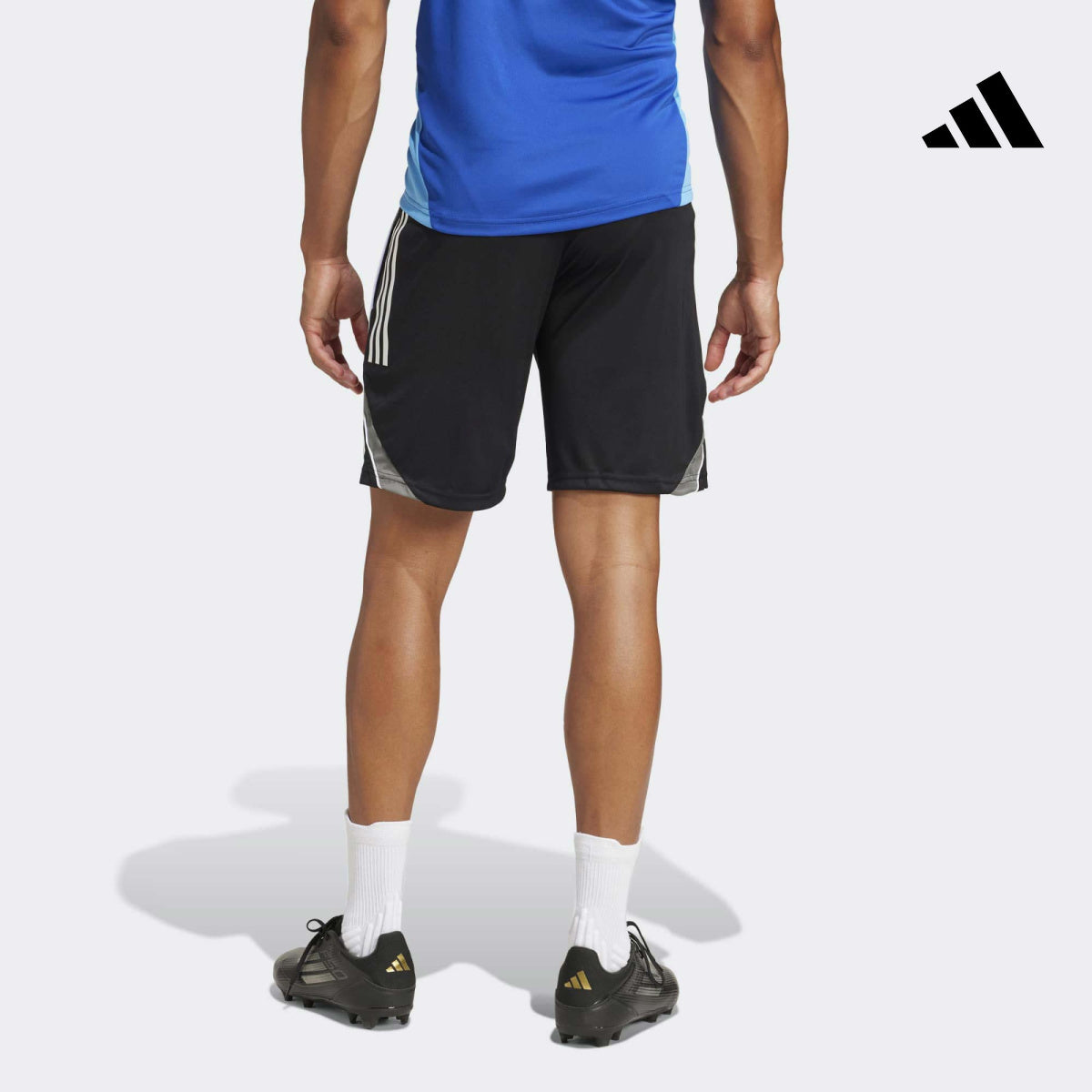Sporgym