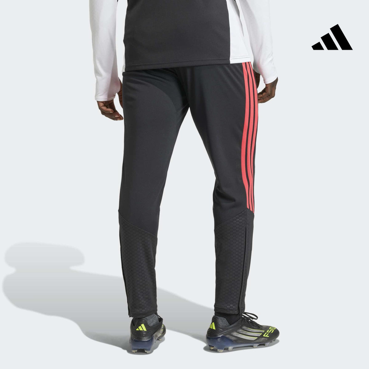 Sporgym