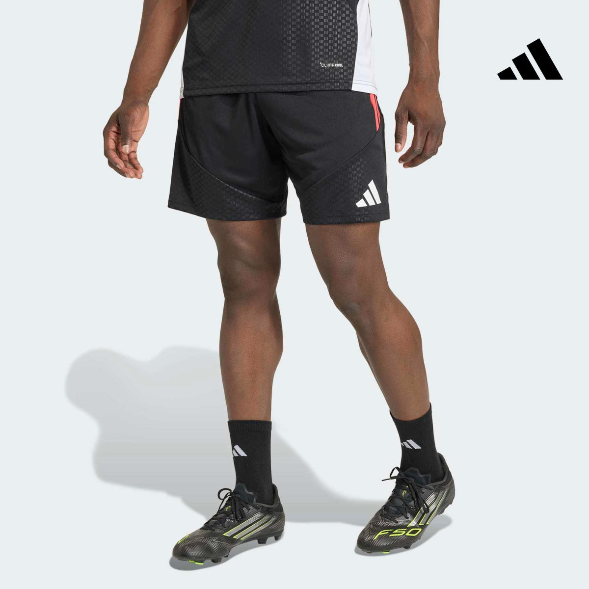Sporgym